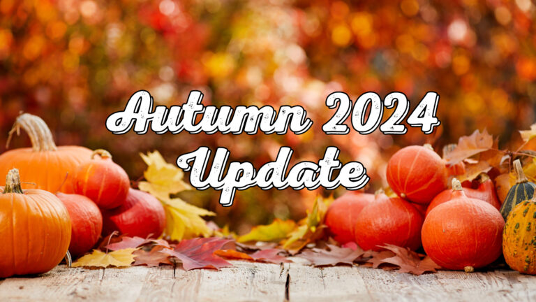 Autumn 2024 Update - iHave iNeed Inc
