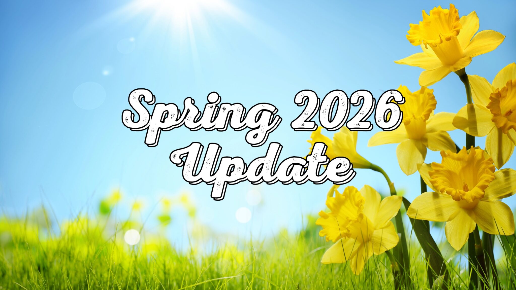 Spring 2026 Update - From pita bread to basketballs: your spring impact ...